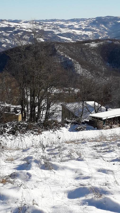 La Tana Del Picchio Βίλα Neviano degli Arduini Εξωτερικό φωτογραφία