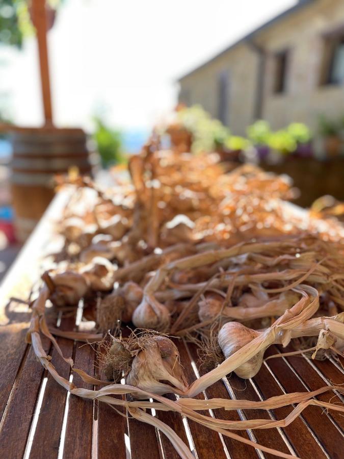 La Tana Del Picchio Βίλα Neviano degli Arduini Εξωτερικό φωτογραφία