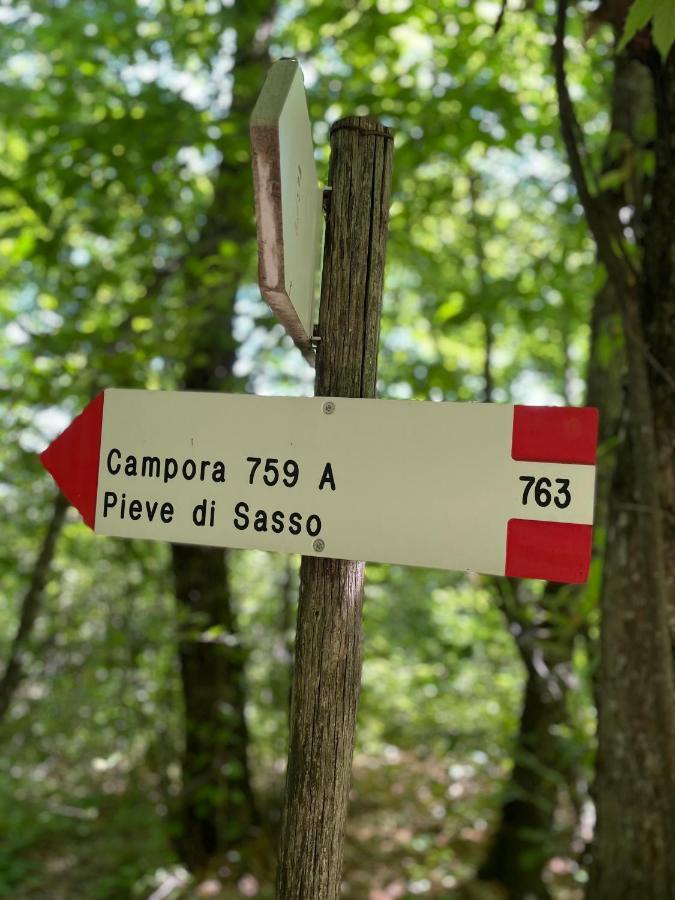 La Tana Del Picchio Βίλα Neviano degli Arduini Εξωτερικό φωτογραφία